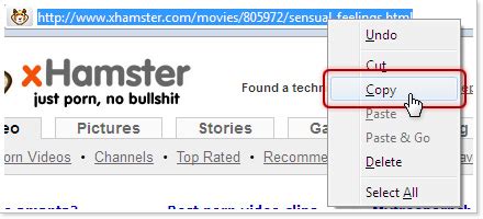 xhamaster downloder|xHamster Downloader: Free Download xHamster Video Online